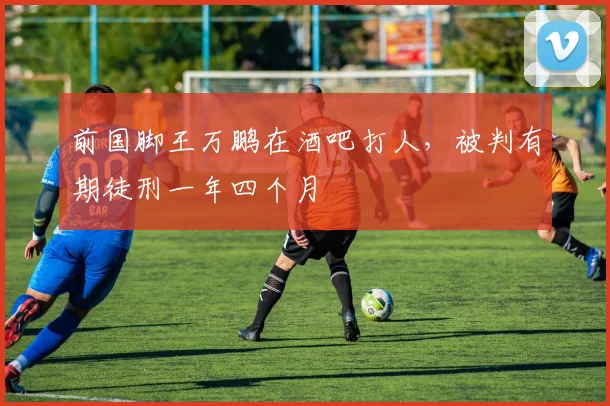 前国脚王万鹏在酒吧打人，被判有期徒刑一年四个月