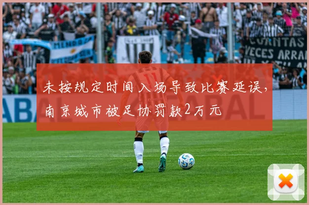 未按规定时间入场导致比赛延误，南京城市被足协罚款2万元